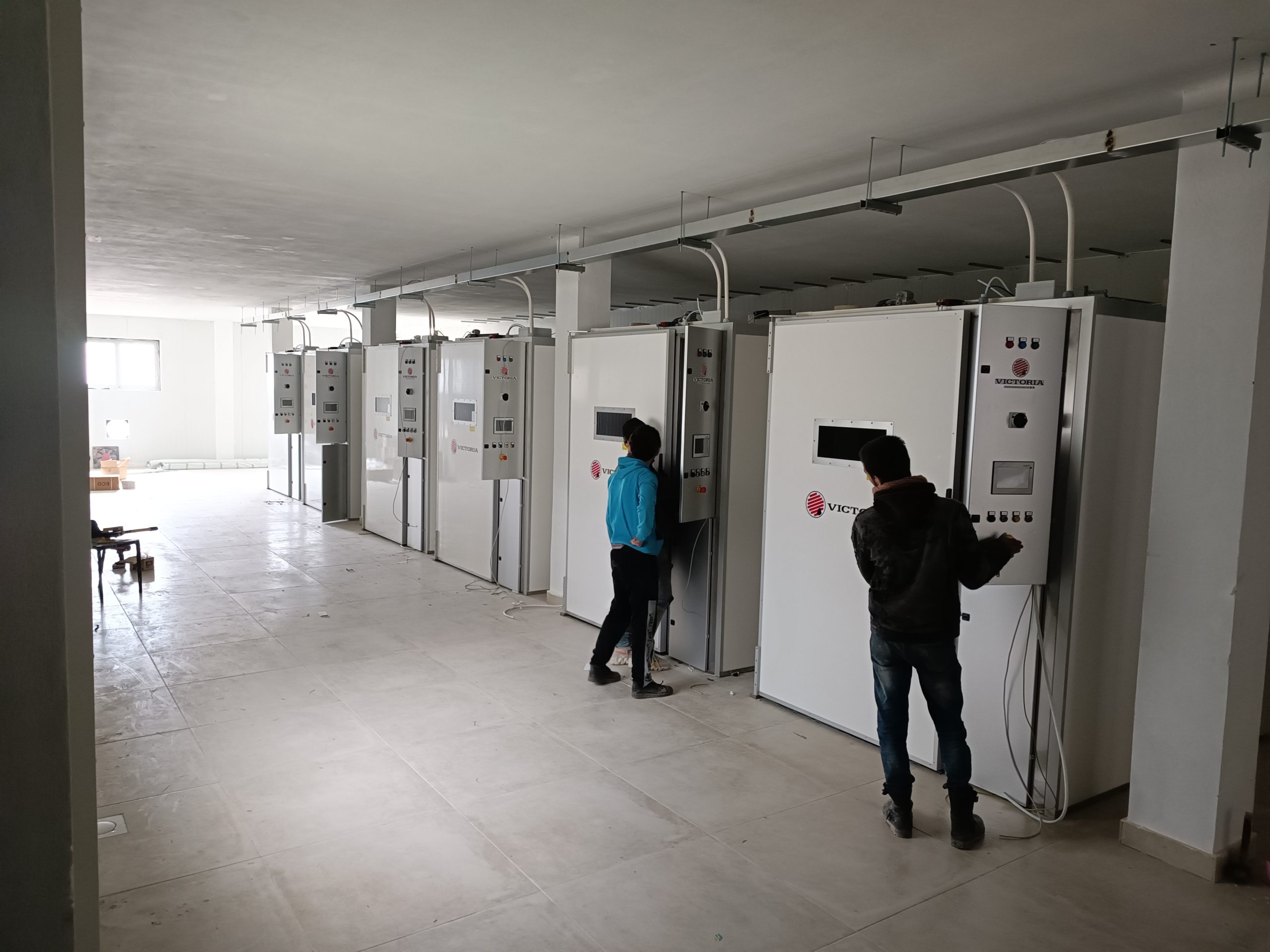 incubatrici per uova victoria incubatrici industriali