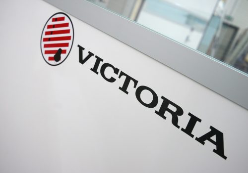 incubatrici per uova victoria incubatrici industriali