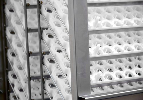 incubatrici per uova victoria incubatrici industriali