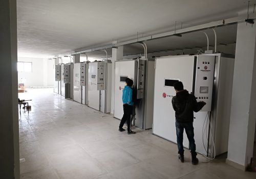 incubatrici per uova victoria incubatrici industriali